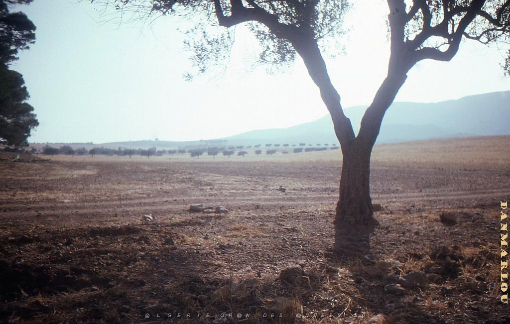 LE KHAR OU LA MONTAGNE DES LIONS (10).jpg